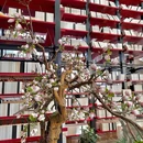贵满楼The Grand HALL1904 - 济南市旅游 缩略图 6