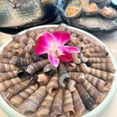 铺前里·海南糟粕醋火锅(南山店) - 深圳市旅游 缩略图 3