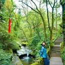 碧峰峡风景区-游客中心 - 雅安市旅游 缩略图 4