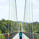 碧峰峡风景区-游客中心 - 雅安市旅游 缩略图 9