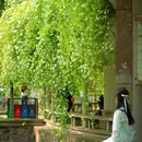 成都理工大学(成都校区) - 成都市旅游 缩略图 1