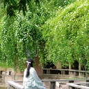 成都理工大学(成都校区) - 成都市旅游 缩略图 9