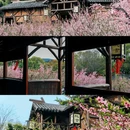影视基地-三国水浒城 - 无锡市旅游 缩略图 9