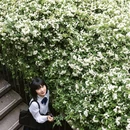 四川大学(望江校区) - 成都市旅游 缩略图 6