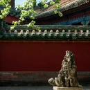 团城 - 北京市旅游 缩略图 5