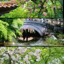 青山公园 - 武汉市旅游 缩略图 1
