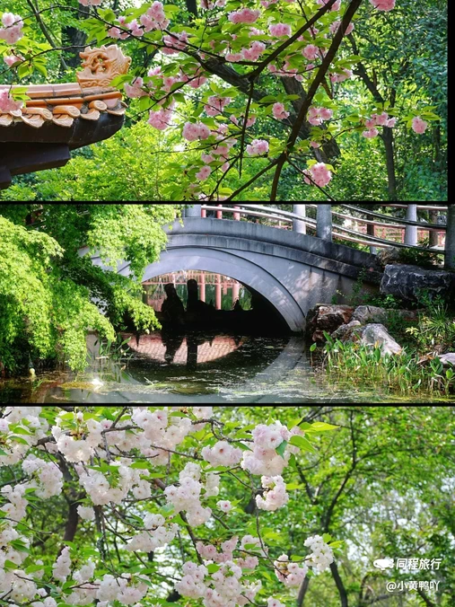 青山公园 - 武汉市旅游