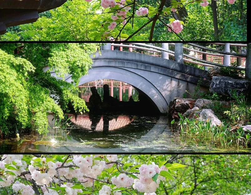 青山公园 - 武汉市旅游 1