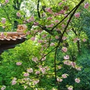 青山公园 - 武汉市旅游 缩略图 2