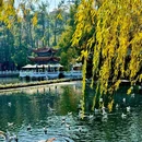 昆明翠湖公园 - 昆明旅游 缩略图 5