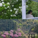 南京银杏湖乐园 - 南京市旅游 缩略图 6