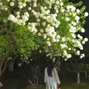 青山公园 - 武汉旅游 缩略图 4