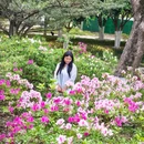 青山公园 - 武汉旅游 缩略图 7