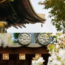 上海宝山寺 - 上海市旅游 缩略图 5