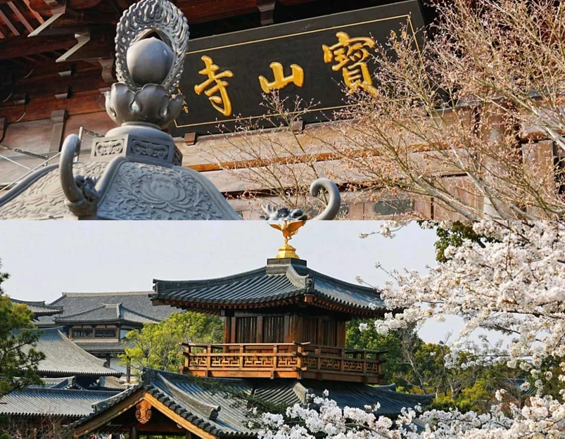 上海宝山寺 - 上海市旅游 1