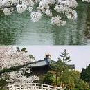 上海宝山寺 - 上海市旅游 缩略图 7