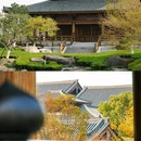 上海宝山寺 - 上海市旅游 缩略图 8