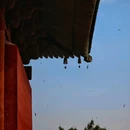 善化寺 - 大同市旅游 缩略图 1
