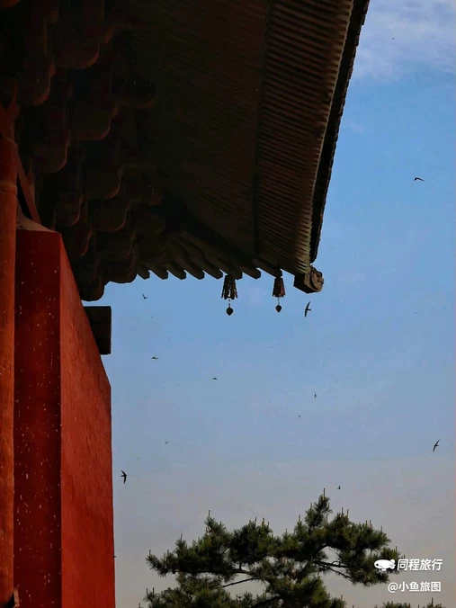 善化寺 - 大同市旅游