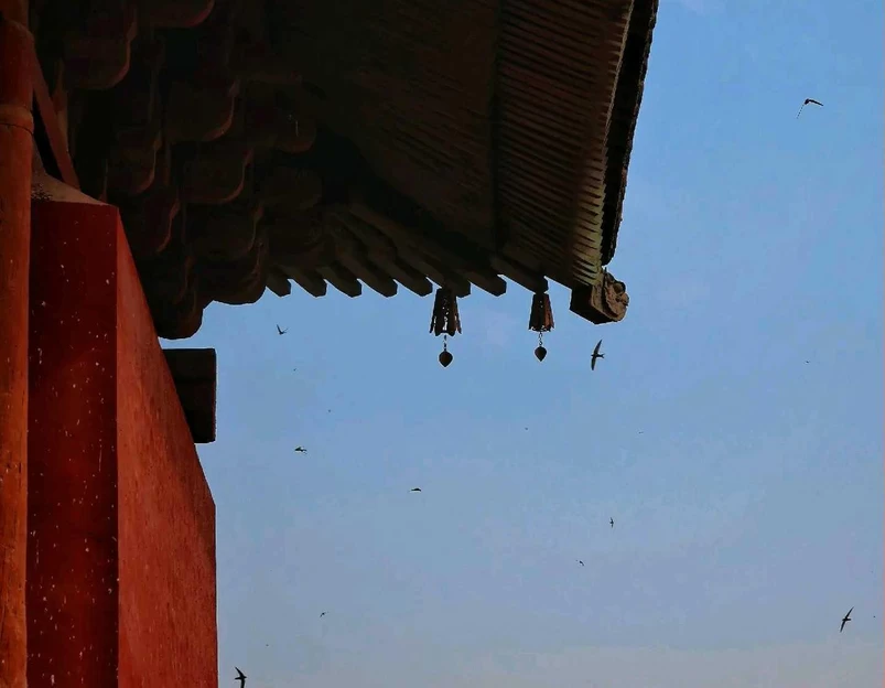 善化寺 - 大同市旅游 1
