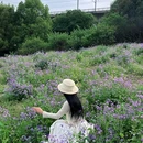 三圣乡花市 - 成都市旅游 缩略图 5