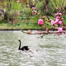 蜀冈瘦西湖风景名胜区 - 扬州市旅游 缩略图 3