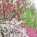 蜀冈瘦西湖风景名胜区 - 扬州市旅游 缩略图 5