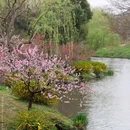 蜀冈瘦西湖风景名胜区 - 扬州市旅游 缩略图 8