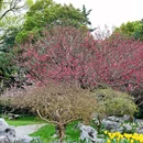 蜀冈瘦西湖风景名胜区 - 扬州市旅游 缩略图 7