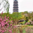 蜀冈瘦西湖风景名胜区 - 扬州市旅游 缩略图 9