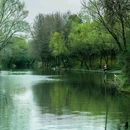 新江湾湿地生态观鸟拍鸟基地 - 上海市旅游 缩略图 2