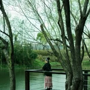 新江湾湿地生态观鸟拍鸟基地 - 上海市旅游 缩略图 6
