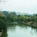 新江湾湿地生态观鸟拍鸟基地 - 上海市旅游 缩略图 9