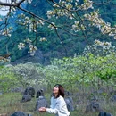 花麻屯 - 柳州市旅游 缩略图 5