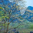 花麻屯 - 柳州市旅游 缩略图 2