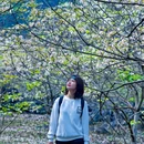 花麻屯 - 柳州市旅游 缩略图 6