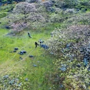 花麻屯 - 柳州市旅游 缩略图 7