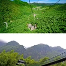 宜春禅都文化博览园 - 宜春市旅游 缩略图 8