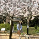 中山公园-孙文莲池 - 青岛市旅游 缩略图 4