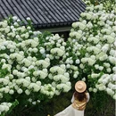 杭州湘湖景区 - 杭州市旅游 缩略图 3
