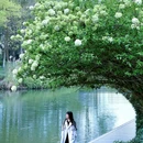 西溪国家湿地公园 - 杭州市旅游 缩略图 2