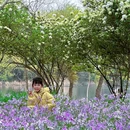 西溪国家湿地公园 - 杭州市旅游 缩略图 5