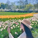 西溪国家湿地公园 - 杭州市旅游 缩略图 6