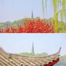 白堤 - 杭州市旅游 缩略图 7