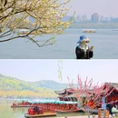 白堤 - 杭州市旅游 缩略图 8
