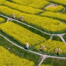 乌镇西栅景区 - 嘉兴市旅游 缩略图 1