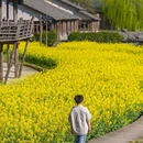 乌镇西栅景区 - 嘉兴市旅游 缩略图 3