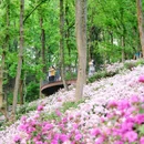 塔山公园 - 杭州市旅游 缩略图 5