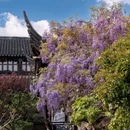 网师园 - 苏州市旅游 缩略图 2