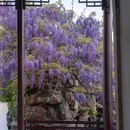 网师园 - 苏州市旅游 缩略图 1